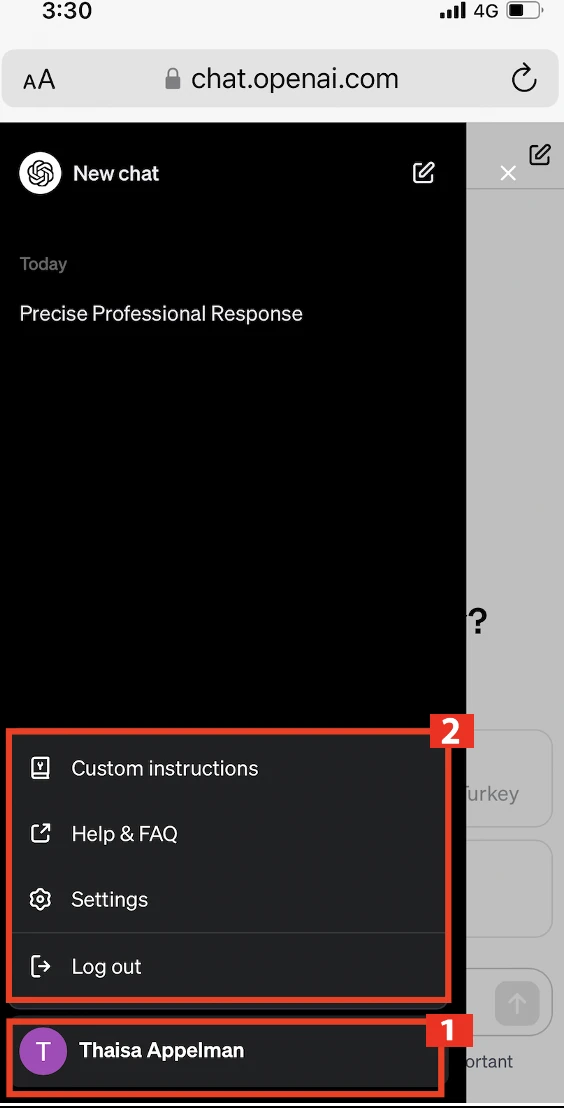 Custom instructions de ChatGPT en Android o iOS