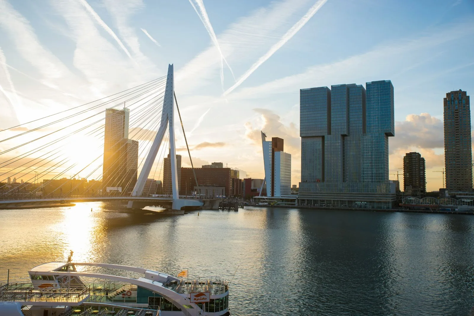 Agence marketing à Rotterdam